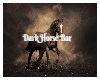 Dark Horse Bar