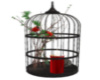 Christmas Cardinals