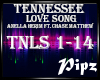 *P*Tennessee Love Song