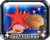 S~ Starfish & Shells Enh