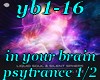 yb1-16 in your brain1/2