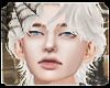 Mullet White