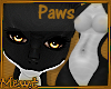 Dee - Paws