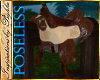 I~Trail Saddle Horse