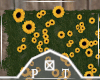 Sunflower Wedding Wall