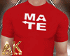 Couple T-shirt "SoulMate