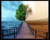 Nature two side