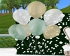 Sage Balloons