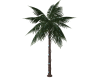 Palm tree light