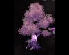 Luminouse tree