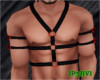 Black Harness