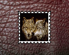 Wolf Stamp 10
