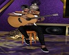 Flamenco Guitar Player