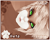 [Pets] Fievel | hair v6