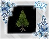 !R! Full Christmas Tree