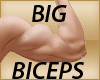 [Mlk] Muscles*