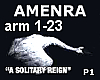 AMENRA- A Solitary Reign