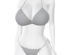 NPC - Bikini Silver