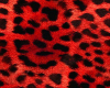Red Leopard Poster 1