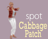 the Cabbage Patch - SPOT