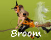 MR Animated Broom