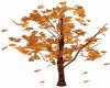 Autumn Falling Leaf Tree