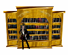 Bookcase ( tigereye )