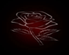 ~BBC~ Red Rose Carpet