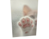 Cat 7