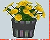 Kawaii Yellow Flowers