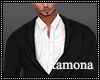 Old Money Blazer B
