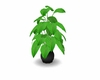 Palm leaf potted plant