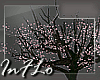 [InFLo] Cherry Blossom 