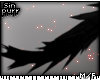 S; Darkness Tail v2