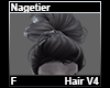 Nagetier Hair F V4