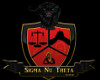 snt 3d crest