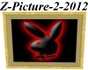 Z-Picture-2-2012