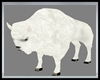 Native White Buffalo