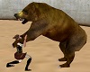 Gladiator vs Bear
