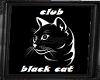 quadro club black cat