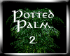 (MD)Potted Palm 2