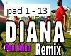 Paul Anka - Remix