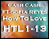 ☑ Cash Cash How To e