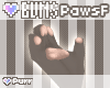*W* BUNS ^Paws F