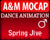 A&M Dance *Spring Jive*