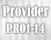 [D] Provider pt. 1