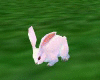 ~Animated Bunny Rabbit~