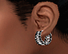 E* Black Diamond Earring