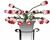 Steel Vased Tulips