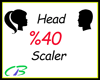 3~ Head Scale %40